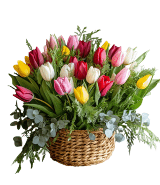 סידור טוליפים בסל  (בצבעים משתנים לפי מלאי)