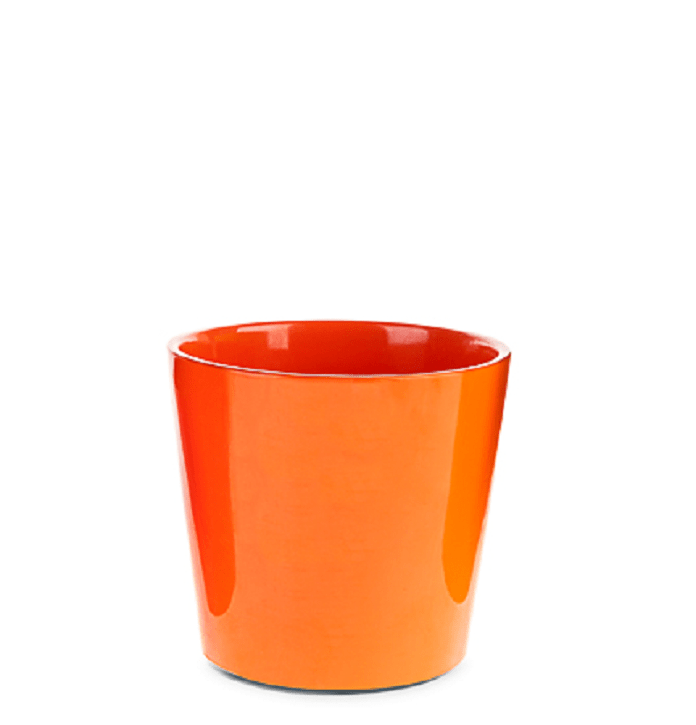 כלי קרמיקה חלק גודל 15"(רגיל) – תמונה 3