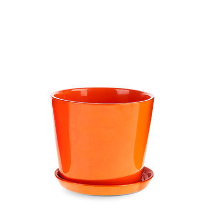 כלי קרמיקה גודל 30"(ענק) – תמונה 3