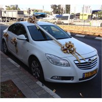 זר כלה וקישוט רכב, קישוט רכב 10, פרחי עירית - חנות פרחים ומשלוחי פרחים לבני ברק