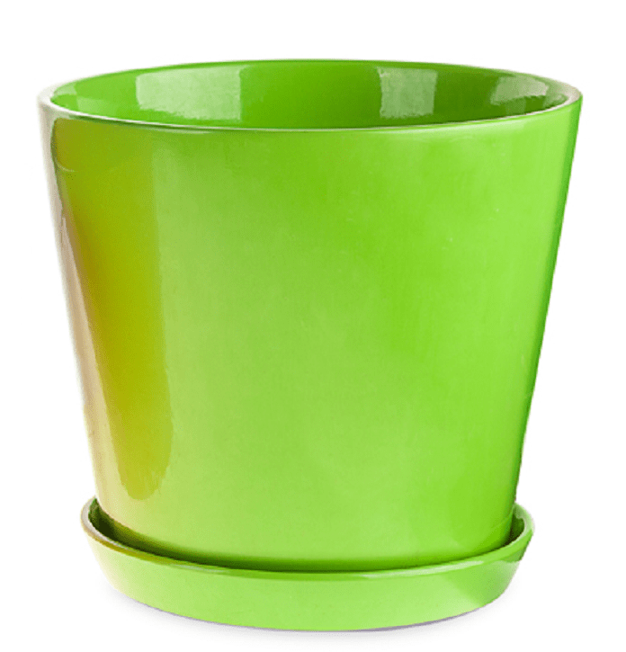 כלי קרמיקה גודל 30"(ענק) – תמונה 4