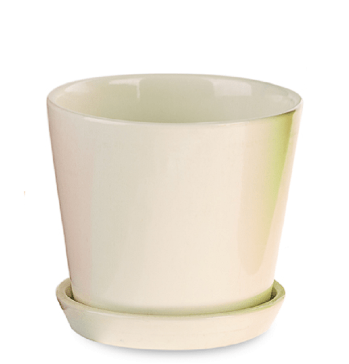 כלי קרמיקה גודל 12"(קטן) – תמונה 2