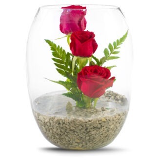  אקווריום מעוצב בפרחים – אגרטל מעוצב עם ורדים - פרחי עירית, משלוחי פרחים וחנויות פרחים בתפוצה ארצית