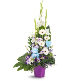 סידורי פרחים, סידור להולדת הבן, פרחי עירית - חנות פרחים ומשלוחי פרחים 