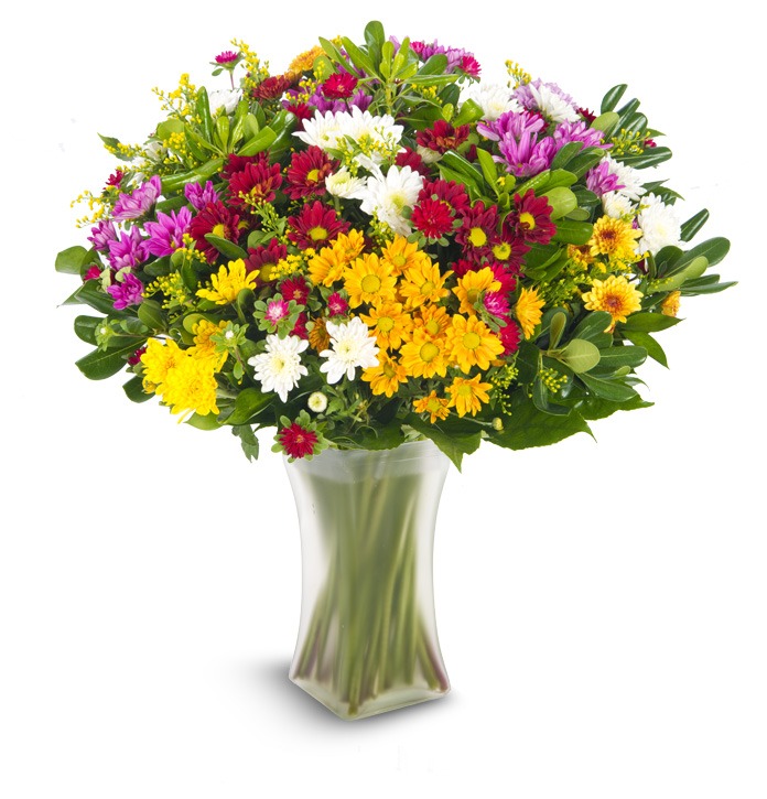 זר פרחים פריחות האביב – זר חרציות אביבי ומגוון - פרחי עירית, משלוחי פרחים וחנויות פרחים בתפוצה ארצית