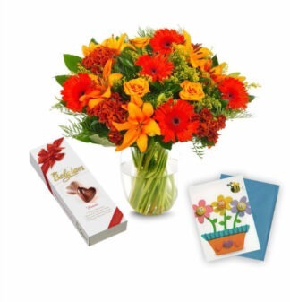 ערכת ברוכים הבאים