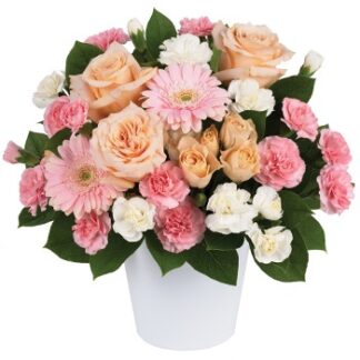 אוסטרליה A320