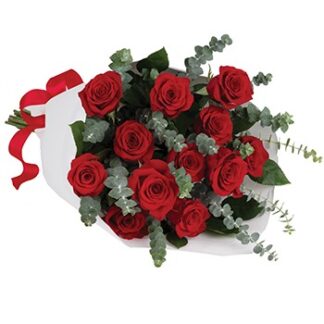 אוסטרליה R312