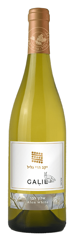 גליל אלון לבן 2023(א. מרכז בלבד)