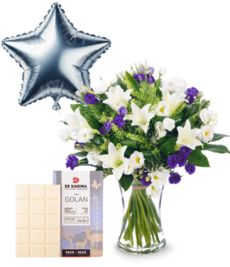 אמסטרדם עם גולן לבן וכוכב כסוף