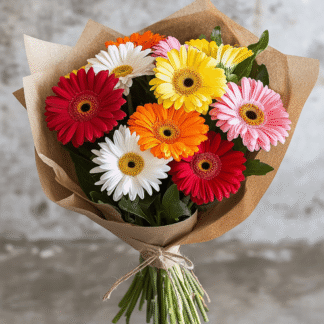 באנץ' גרברה צבעוני