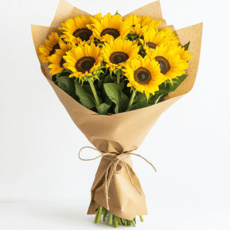 באנץ' חמניות