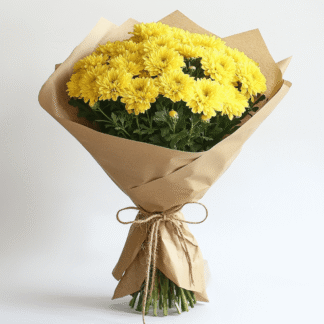 באנץ' חרציות צהובות