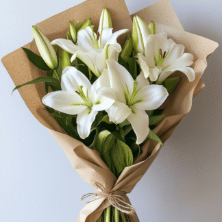 באנץ' שושן צחור