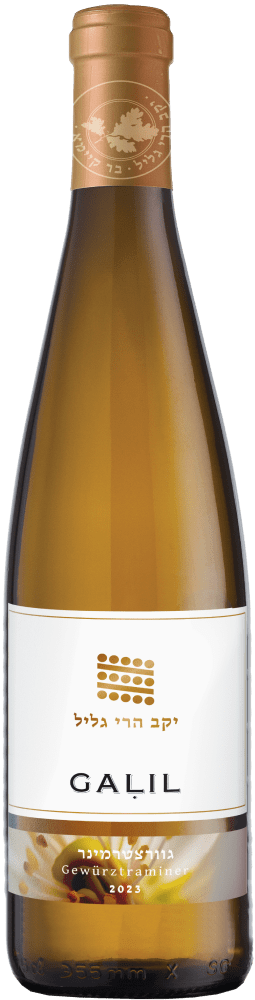 גליל גוורצטרמינר 2023(א. מרכז בלבד)