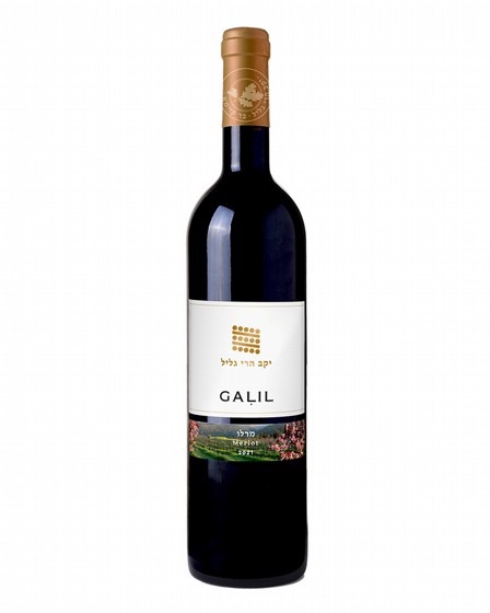 גליל מרלו 2022(א. מרכז בלבד)