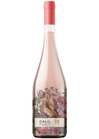 גליל רוזה 2023(א. מרכז בלבד)