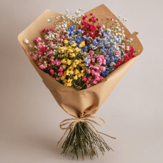 באנץ' גיפסנית צבעוני (צבע משתנה לפי מלאי)